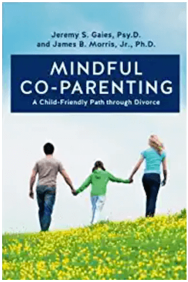Mindful Co-Parenting: A Child-Friendly Path through Divorce